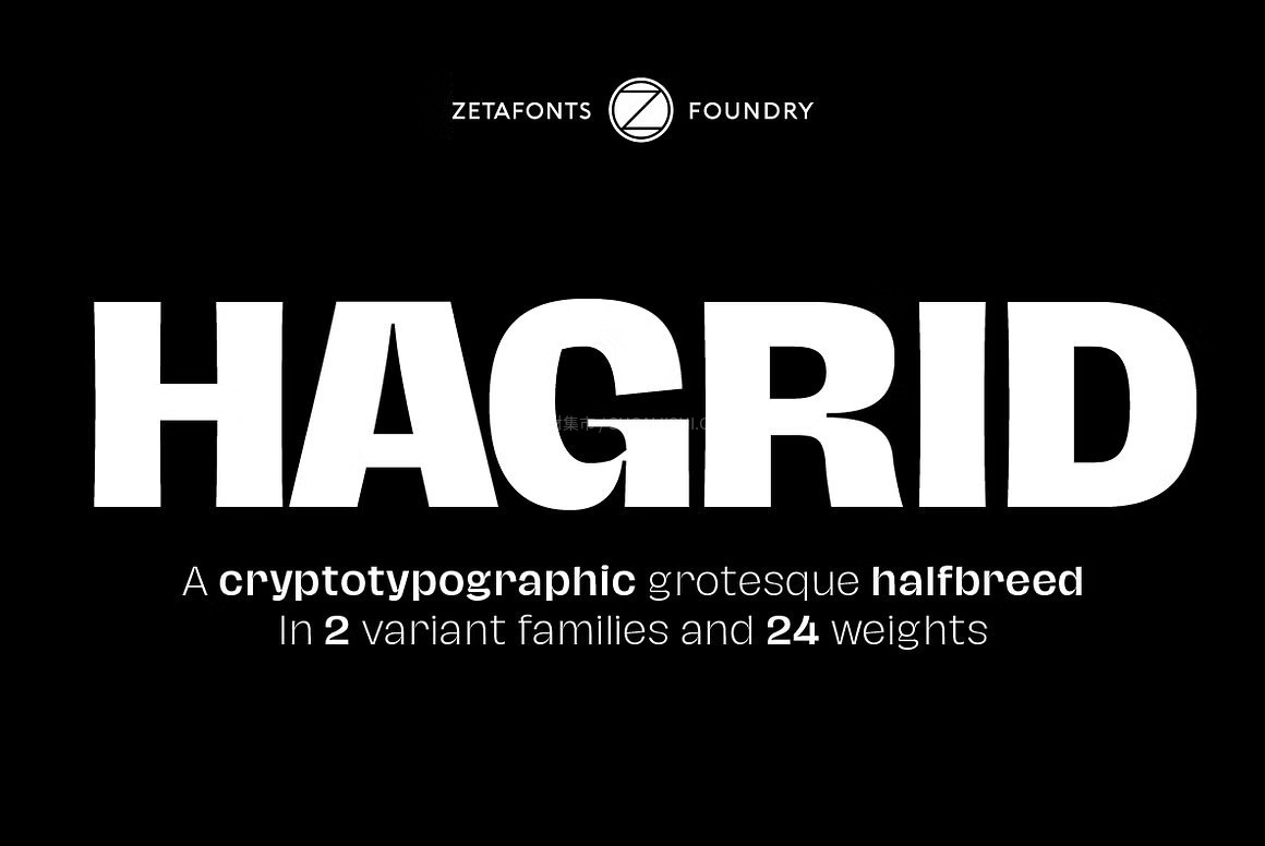Hagrid高端品牌形象(VI)设计阿拉伯字体家族